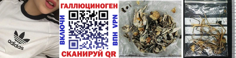 дарнет шоп  Видное  Галлюциногенные грибы прущие грибы 