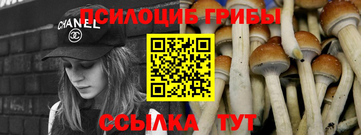 Псилоцибиновые грибы мухоморы Видное