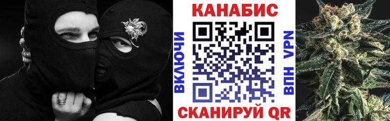 Канабис конопля Видное